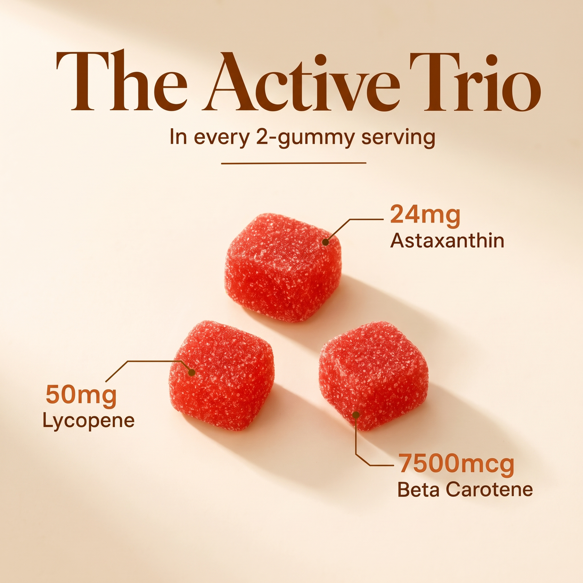 The Active Trio